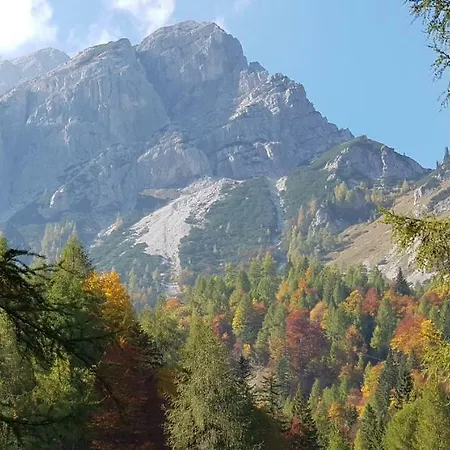 Yellow Apartma Apartamento