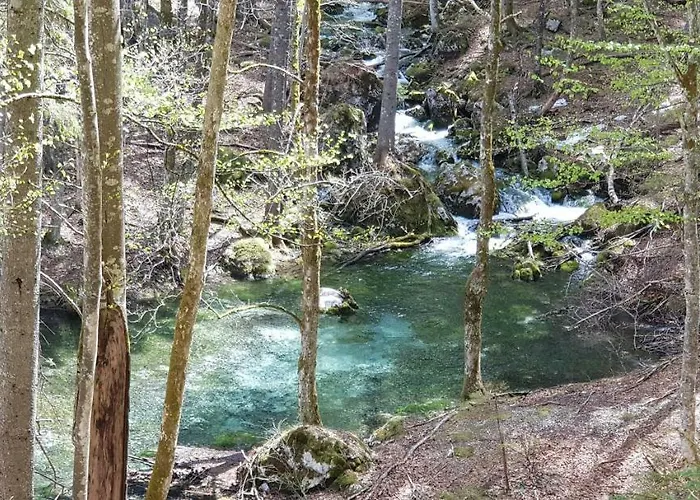 Yellow Apartma Apartma *