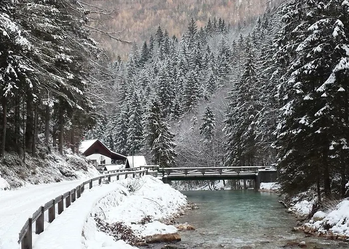 Apartma Yellow Apartma *