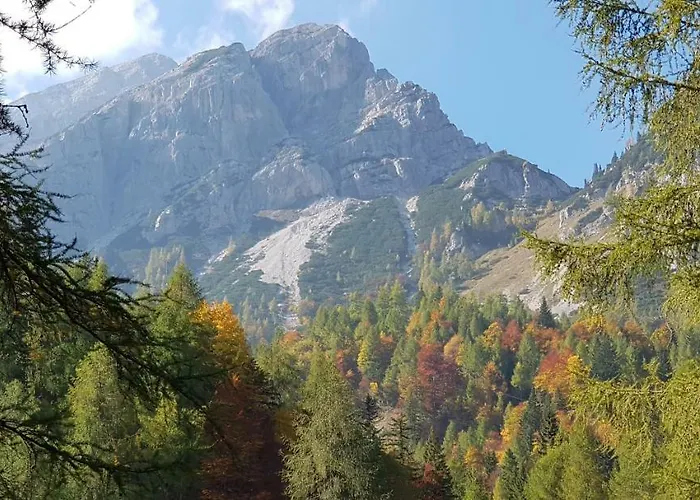 Yellow Apartma Apartment