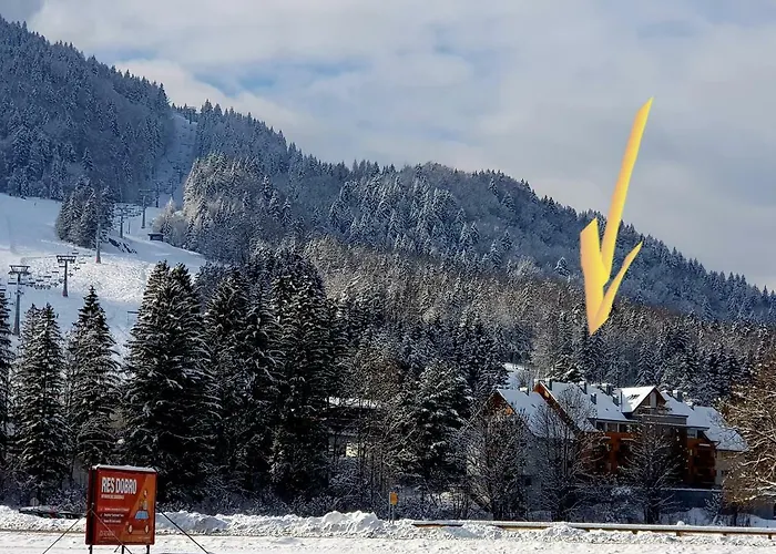 Yellow Apartma Kranjska Gora